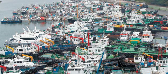 울산 장생포항에 긴급대피한 선박들 6일 북상 중인 제10호 태풍 하이선을 피해 울산 남구 장생포항에 어선과 여객선 등의 선박들이  정박해 있다. 하이선의 영향으로 7일 전국적으로 50∼400mm의 비가 내리고 바다 물결도 12m까지 오를 것으로 전망된다.  울산=뉴스1