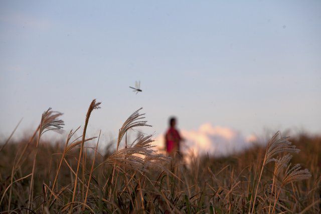 최남단 마라도 섬투어는 주민이 직접 안내자 겸 해설사가 돼 마라도의 자연과 문화 등을 들려주는 프로그램이다.