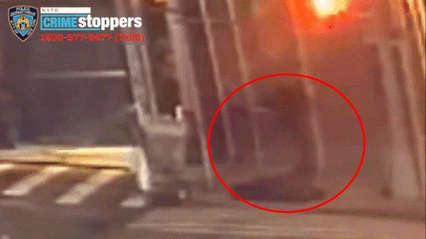 사진=NYPD 공식 트위터 영상 캡처