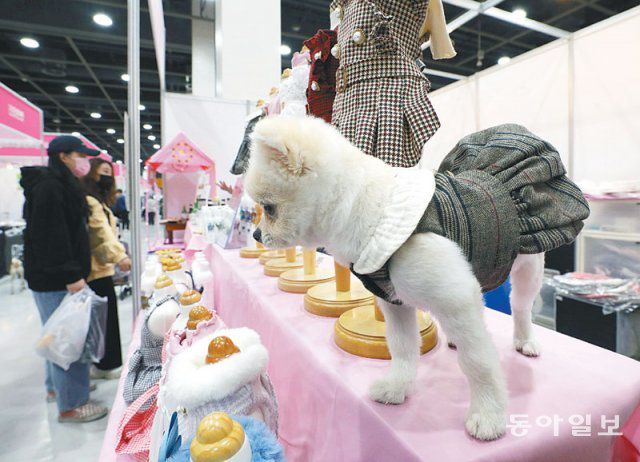 코로나19 확산 이후 반려동물 관련 매장이 크게 늘었다. 집에 머무는 시간이 늘어난 게 영향을 미쳤다는 분석이 나온다. 동아일보DB