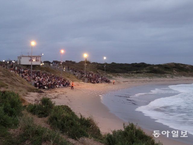 해질녘 필립섬 서머랜드 비치에서 퇴근하는 펭귄을 기다리는 사람들. 전승훈 기자 raphy@donga.com