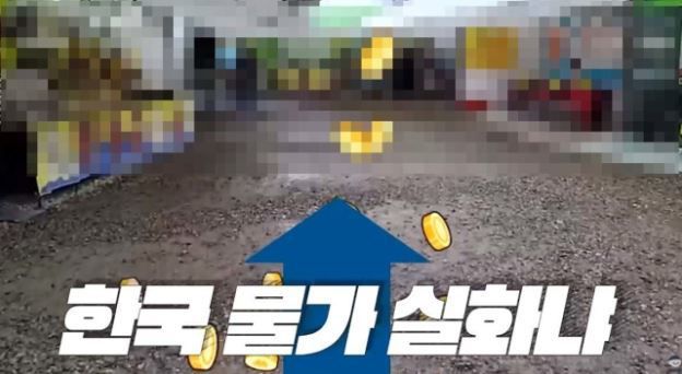 지난달 28일 유튜브 채널 ‘유이뽕’에 올라온 함평나비축제 방문 영상 갈무리.