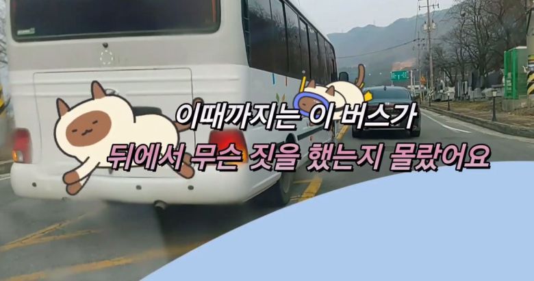 20초간 역주행 뒤 안전지대를 침범해 A 씨 앞으로 끼어든 승합차. 온라인 커뮤니티 보배드림 캡처