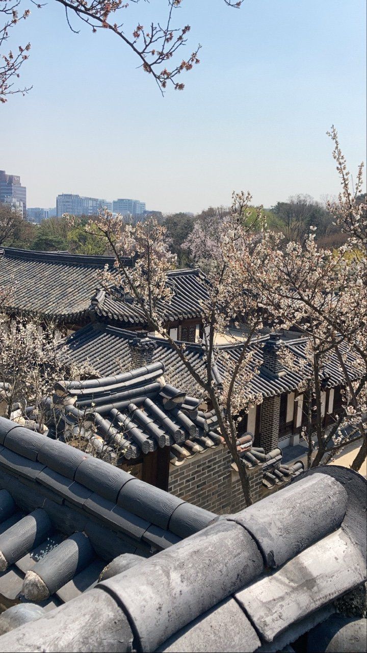 봄의 낙선재. 창덕궁관리소 제공