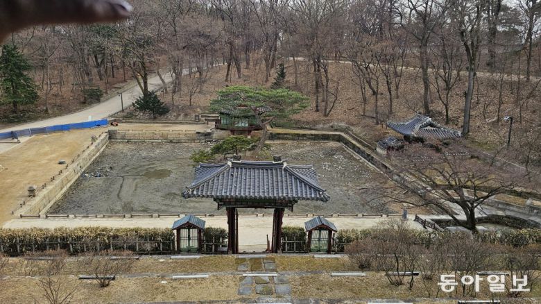 창덕궁 주합루에서 내려다본 부용지. 16년 만에 연못을 정비하는 작업 중이라 새로운 경관을 보여준다. 김선미 기자