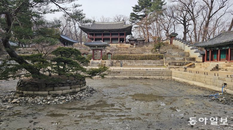 16년만에 준설 작업 중인 부용지 전경. 김선미 기자