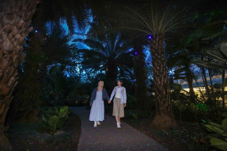 5일부터 야간 개장을 시작한 경기 부천시의 대형 실내 수목원인 수피아를 찾은 여성들이 야자원에 식재된 각종 야자수를 둘러보고 있다. 부천시 제공