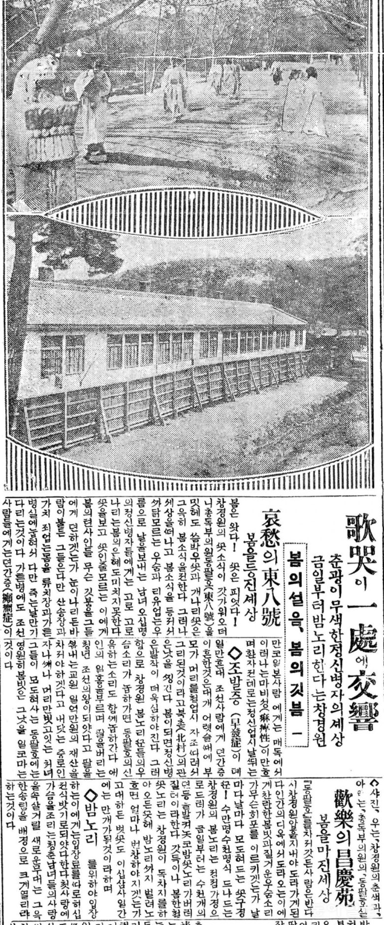 ◇ 사진 위는 창경원의 봄 풍경과 아래는 총독부 의원의 동팔호실
