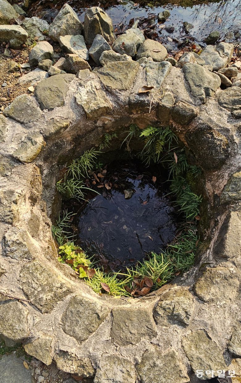 소쇄원 오곡문 앞 우물 속에 핀 봉의꼬리. 담양=김선미 기자 kimsunmi@donga.com