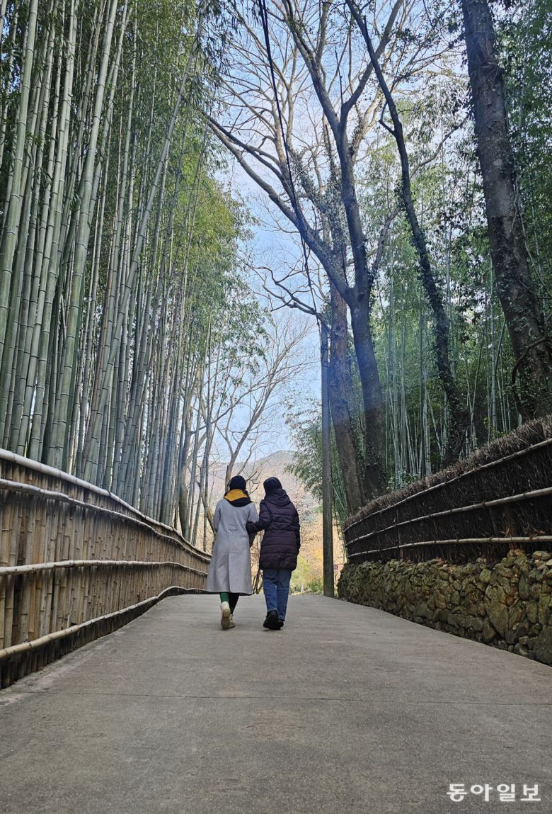 소쇄원 입구의 대숲 바람에 마음이 씻어진다. 소쇄(瀟灑)는 맑을 소(瀟)에 뿌릴 쇄(灑). 발음도 시원하다.