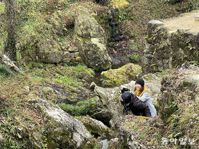 깊은 산속에 들어온 듯 우리 식생이 살아있는 소쇄원. 이 곳에서 길마가지를 만났다.