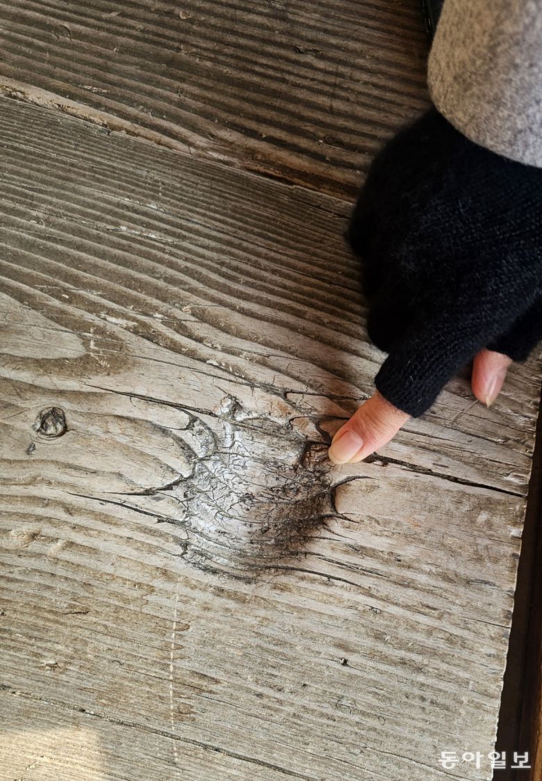 옛 선비들이 벼루처럼 사용했다는 제월당 마루의 패인 부분. 담양=김선미 기자 kimsunmi@donga.com