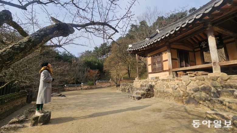 소쇄원 제월당 마당에는 선비들이 딛고 올라 별을 관찰했던 돌이 있다. 담양=김선미 기자 kimsunmi@donga.com