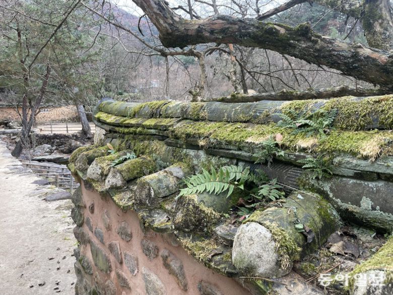 소쇄원의 담장과 기와는 세월의 흐름을 담고 있는 생태 예술이다. 담양=김선미기자 kimsunmi@donga.com