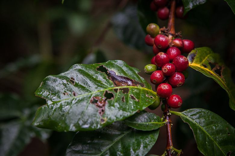 사진=게티이미지코리아.