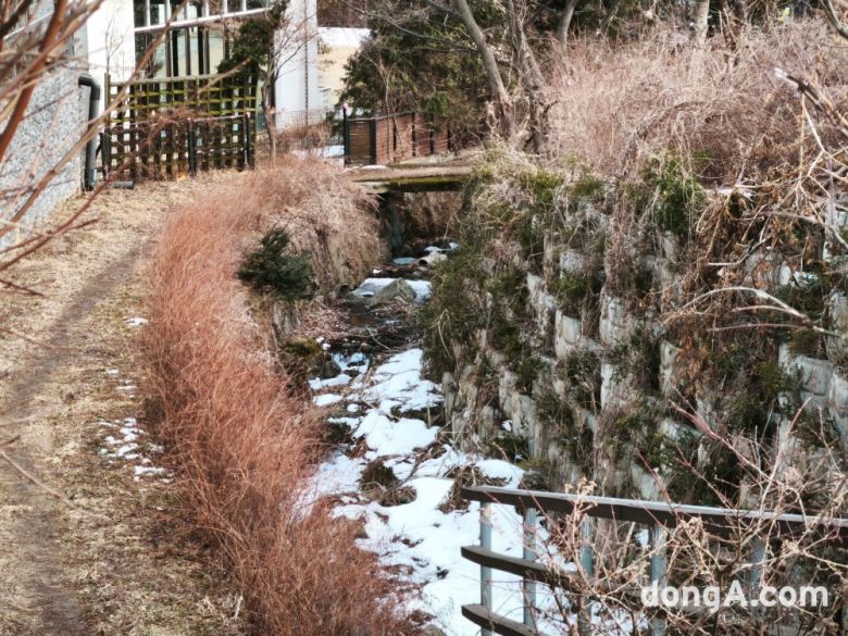 샤오미 14T로 직접 찍은 사진(무보정, 리사이즈 진행)