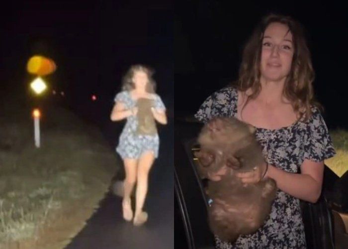 샘 존스 인스타그램