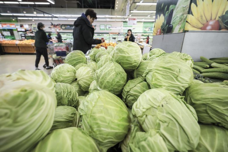 서울시내 대형마트를 찾은 시민들이 양배추를 고르고 있다. 2025.03.09. 뉴시스