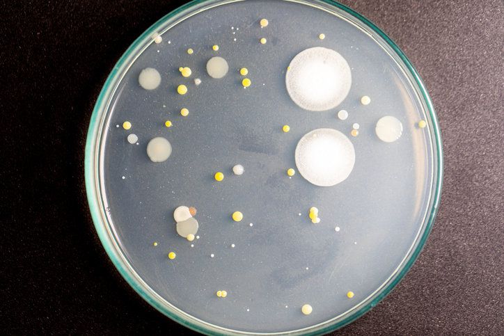 게티이미지뱅크.