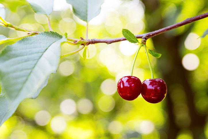 게티이미지뱅크.