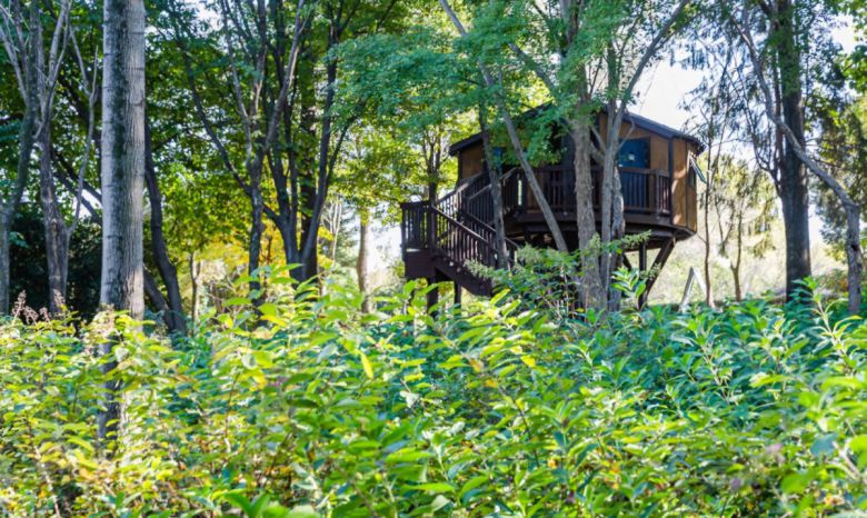 한국도로공사전주수목원 전망대. 임명연씨 제공