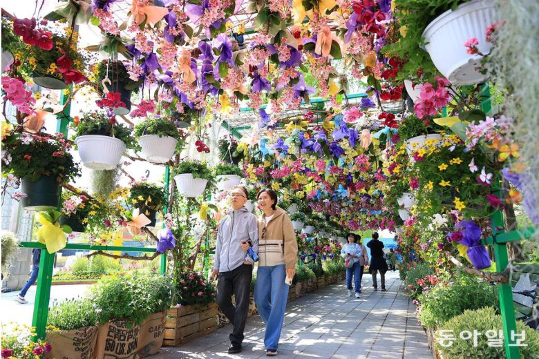 올해로 제17회를 맞은 2025 고양국제꽃박람회는 25일부터 5월 11일까지 ‘꽃, 상상 그리고 향기’를 주제로 경기 고양시 일산호수공원 일원에서 개최된다.고양=전영한 기자 scoopjyh@donga.com