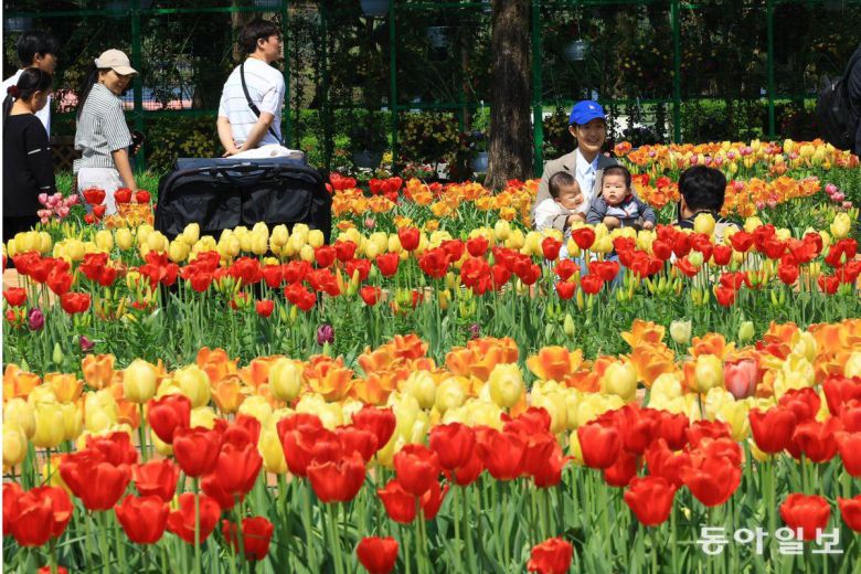 올해로 제17회를 맞은 2025 고양국제꽃박람회는 25일부터 5월 11일까지 ‘꽃, 상상 그리고 향기’를 주제로 경기 고양시 일산호수공원 일원에서 개최된다.고양=전영한 기자 scoopjyh@donga.com