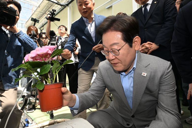 수국 신품종 살펴보는 이재명 더불어민주당 이재명 전 대표가 25일 전남 나주시에서 열린 농업과학기술 진흥 관련 간담회에서 전남농업기술원이 개발한 수국 신품종을 살펴보고 있다. 이 전 대표는 이날 페이스북을 통해 농업 분야 공약을 발표하며 “양곡관리법을 개정해 쌀값을 안정적으로 보장하겠다”고 했다. 나주=뉴시스