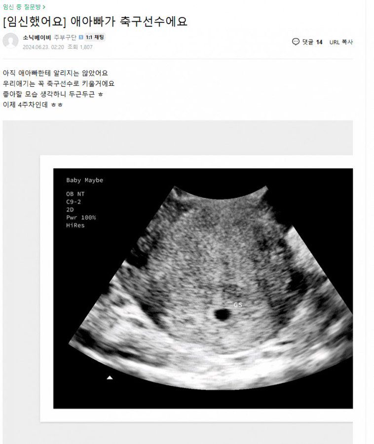 온라인 커뮤니티 캡처