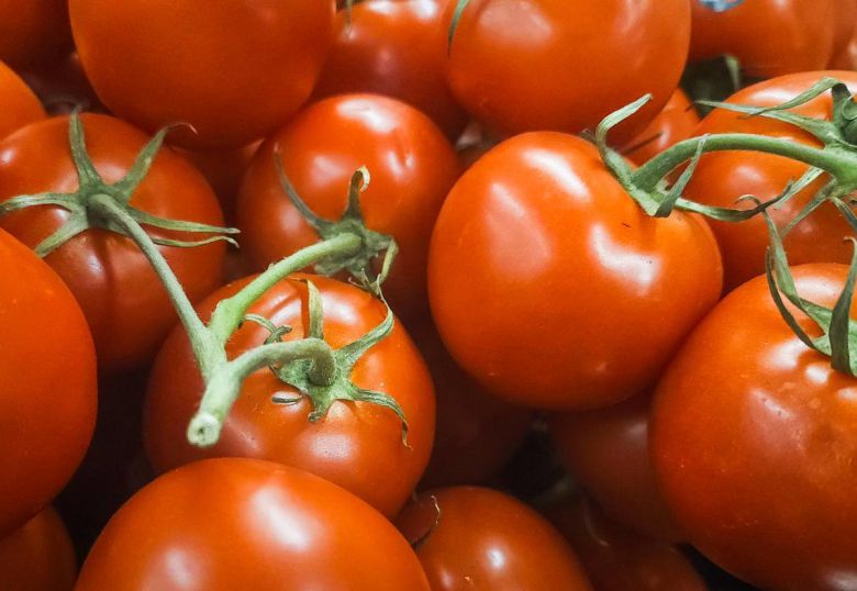 게티이미지코리아.