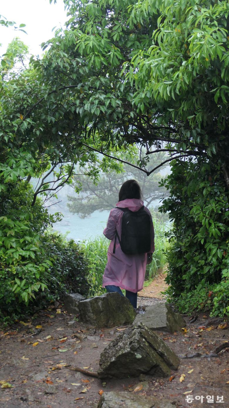 고흥군 쑥섬 꼭대기 ‘별 정원’으로 향하는 원시림 어둑한 길을 가다 마주친 빛. 저 너머 바다가 언뜻 보인다.