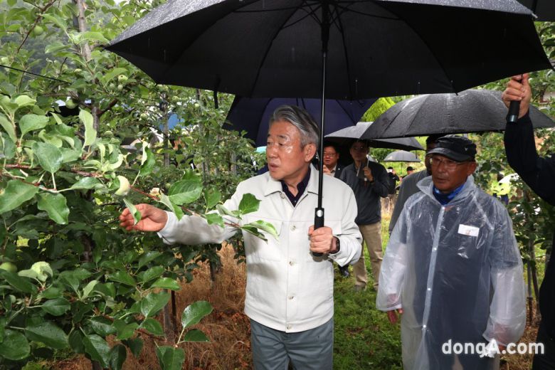 강호동 농협중앙회장이 16일 경북 청송, 김천의 우박 피해 농가를 찾아 피해상황을 점검하고 있다. 농협 제공