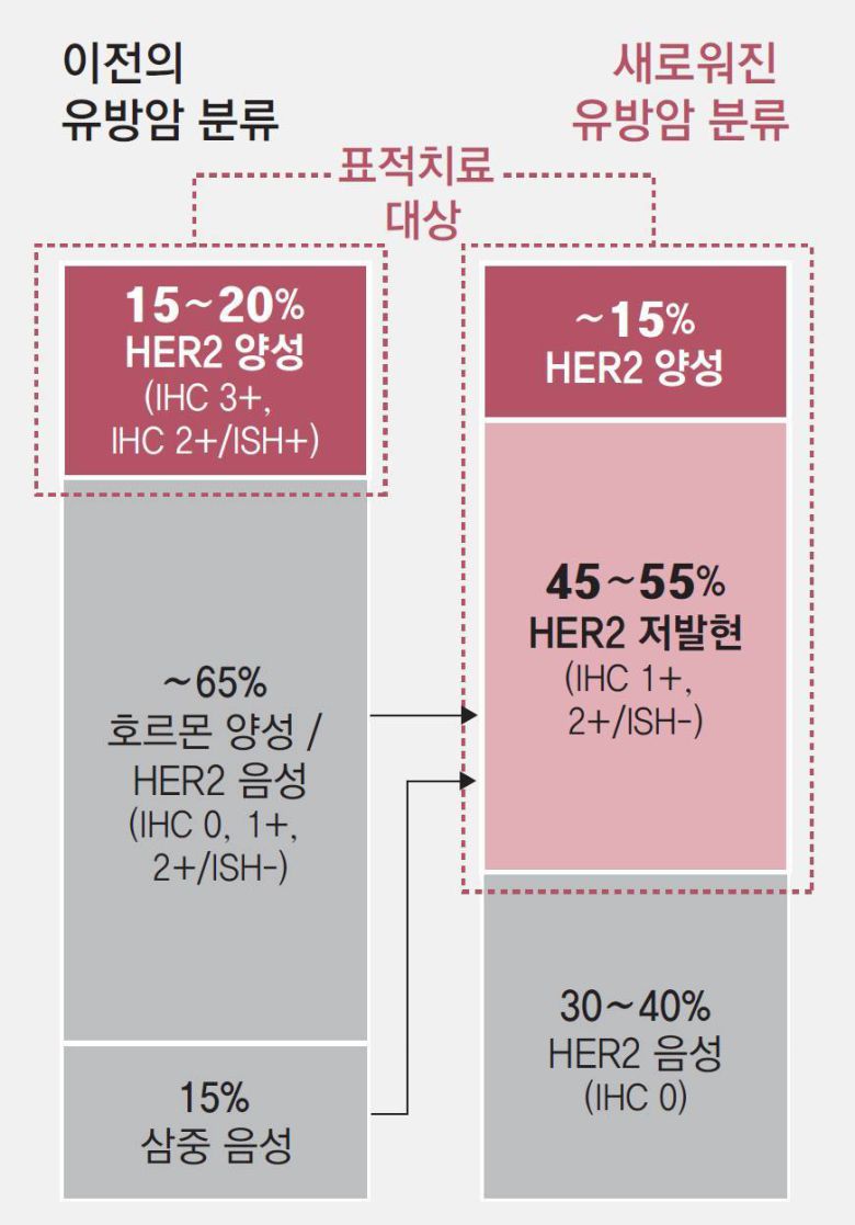 엔허투 표적 치료제가 등장해 HER2 저발현 환자도 치료 대상이 됐다. 유방암 분류도 최근 변경됐다.