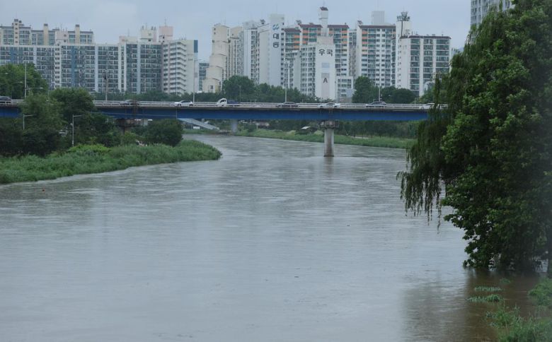 20일 강한 호우로 서울 중랑천의 하천 수위가 상승해 있다. 2025.6.20/뉴스1