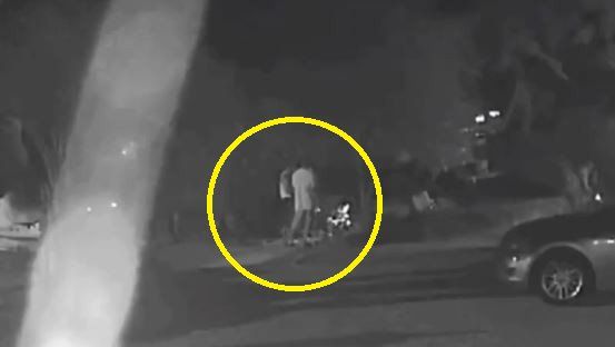 경남 거제에서 현역 해병대 병사 2명이 민간인과 함께 반려견 4마리에게 비비탄총을 무차별 난사한 사건이 발생했다. 1마리는 숨지고 2마리는 안구 손상을 입었다. 경찰은 동물보호법 등 혐의로 입건할 방침이다. 비글구조네트워크 인스타그램 캡처