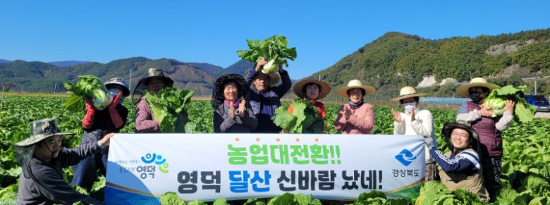 경북 혁신농업타운 2호인 영덕 달산지구에서 농민들이 수확한 배추를 들어 보이고 있다. 이 마을의 총소득은 벼만 재배했을 때보다 이모작을한 뒤 4배나 늘었다. 경북도 제공