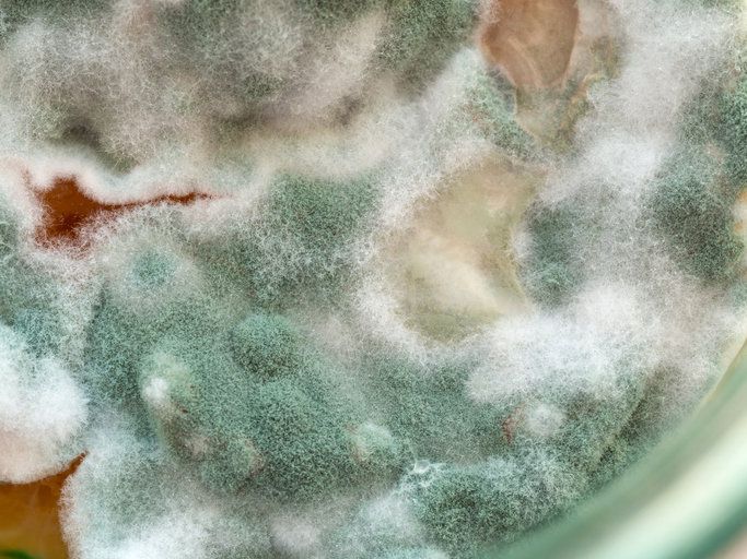 사진=게티이미지코리아.