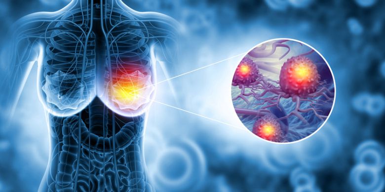 사진=게티이미지코리아.