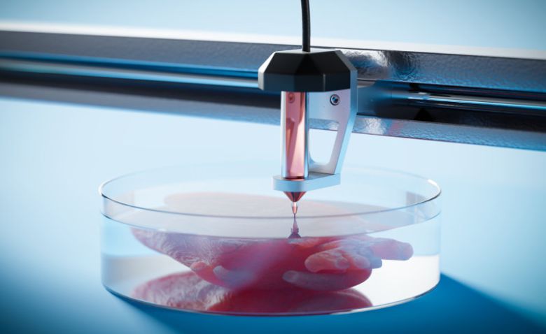 바이오 프린팅 기술로 3차원 장기를 인쇄하는 모습을 나타낸 이미지. 게티이미지코리아
