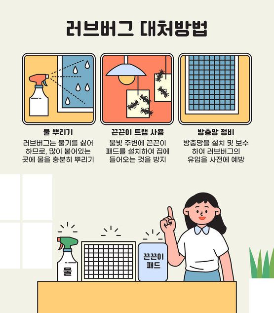 서울과 수도권에 짝짓기한 채 날아다니는 ‘러브버그’가 대량 출몰하면서 시민 불편이 커지고 있다. 피부나 옷에 달라붙는 등 생활에 지장을 주는 가운데, 차량 손상과 악취 피해도 이어지고 있다. (사진=게티이미지뱅크.)