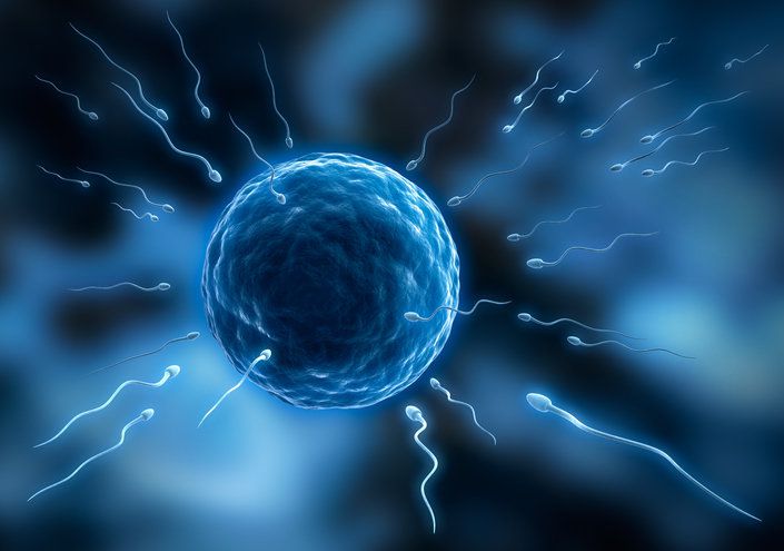 사진=게티이미지코리아.