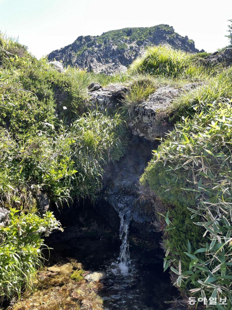 5일 한라산 백록샘에서 시원한 물줄기가 흐르고 있다. 서귀포=송은범 기자 seb1119@donga.com