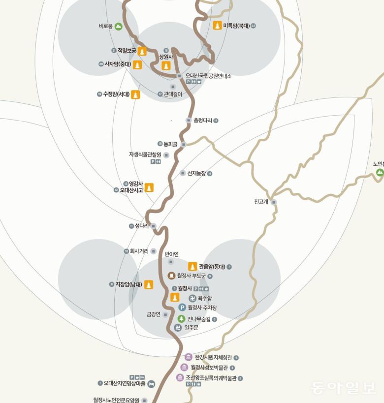 일주문부터 상원사까지 약 9km의 월정사 선재길은 순례길이자, 각종 문화재와 자연 경관이 어우러진 힐링 코스. 기승을 부리는 폭염과 열대야도 이곳에서는 언제 그랬냐는 듯 맥을 못춘다. 평창=이진구 기자 sys1201@donga.com
