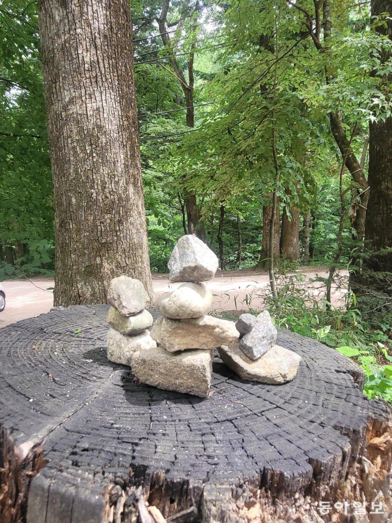 곳곳에 놓여있는 작은 돌탑. 어떤 소원을 빌며 돌을 올렸을까. 평창=이진구 기자 sys1201@donga.com