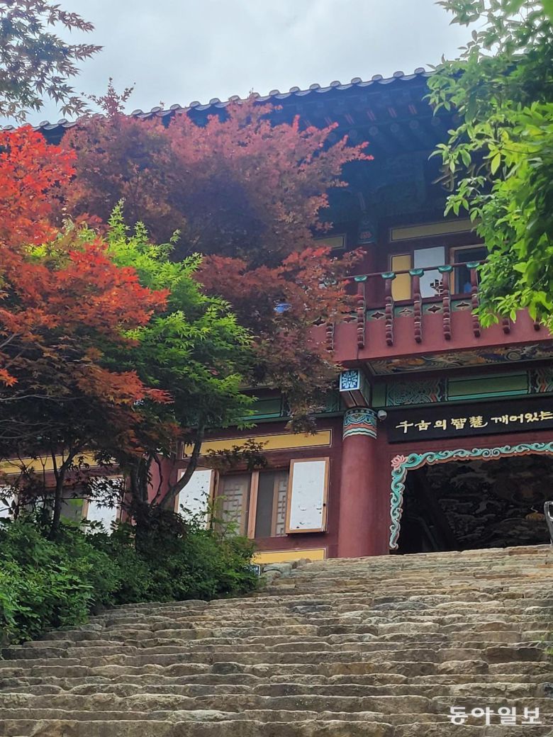 상원사 입구. 붉게 물든 단풍나무가 새파란 나뭇잎과 대조를 이뤄 장관을 자아낸다. 평창=이진구 기자 sys1201@donga.com