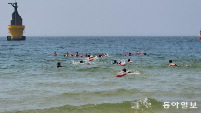 김화영 기자 run@donga.com