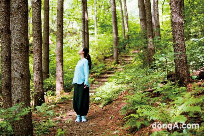 홍천 선마을리조트