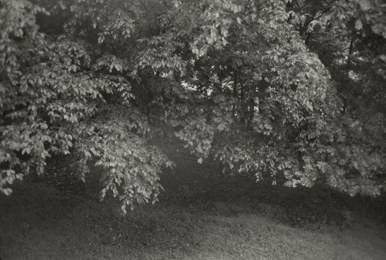 안목출판사 제공