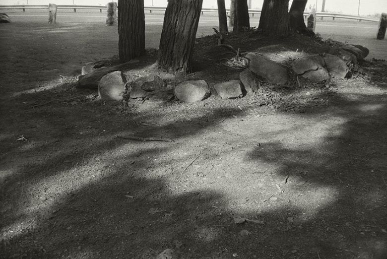 안목출판사 제공