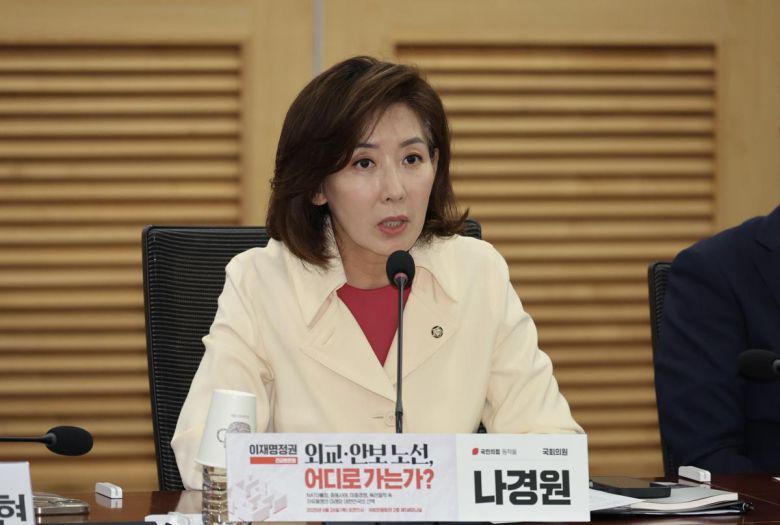 나경원 국민의힘 의원이 한 토론회에서 발언하고 있다. 뉴시스